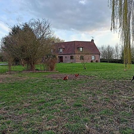 Les Chambres D'Hotes Du Vert Galant " L'Allee Des Champs" Verlinghem Exteriör bild