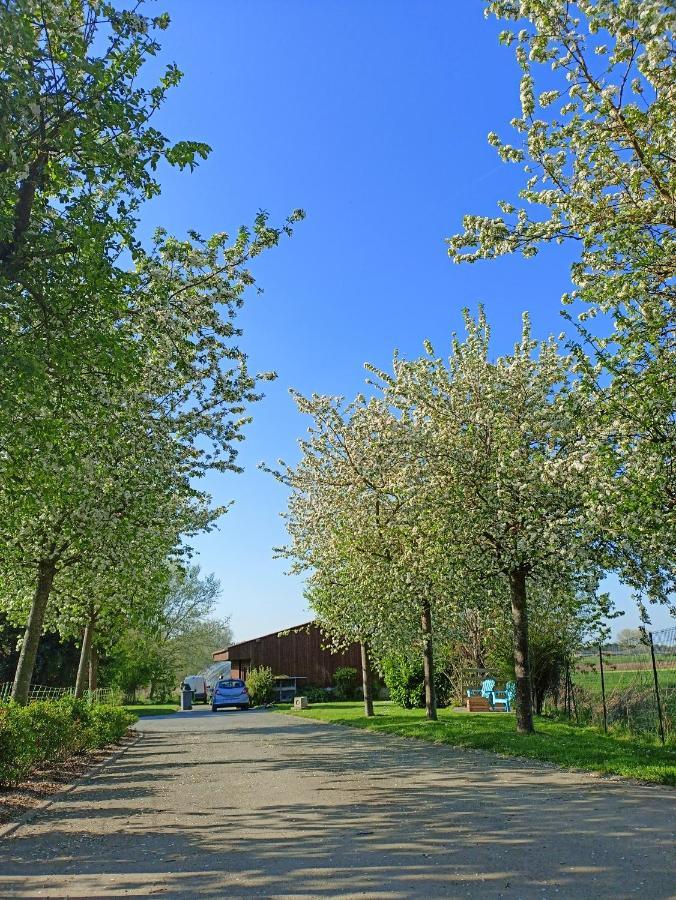 Les Chambres D'Hotes Du Vert Galant " L'Allee Des Champs" Verlinghem Exteriör bild