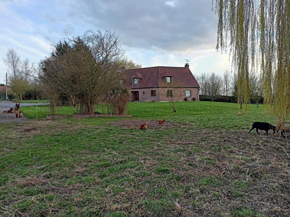 Les Chambres D'Hotes Du Vert Galant " L'Allee Des Champs" Verlinghem Exteriör bild